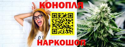 стаф Краснодар