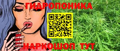 стаф Краснодар